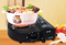 Portable Infrared Gas Stove JL-179